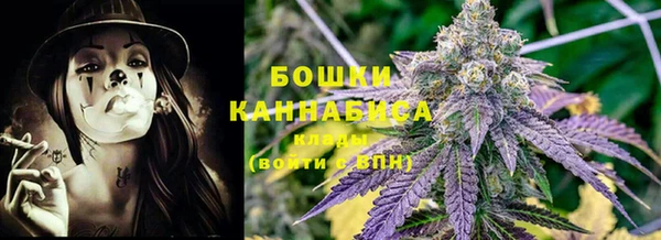 шишки Алексин